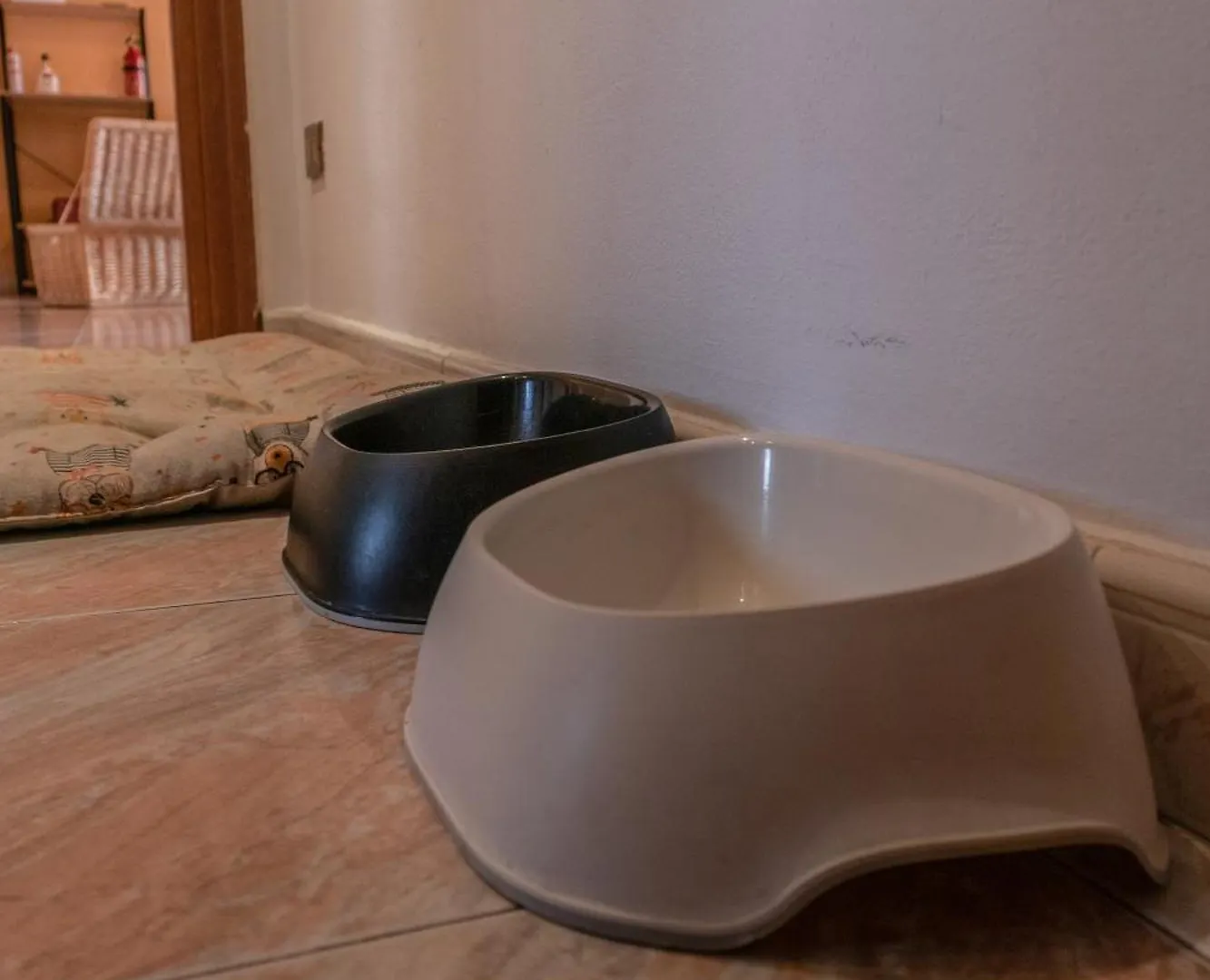 Terra Di Mezzo Apartment Castellanza Italy